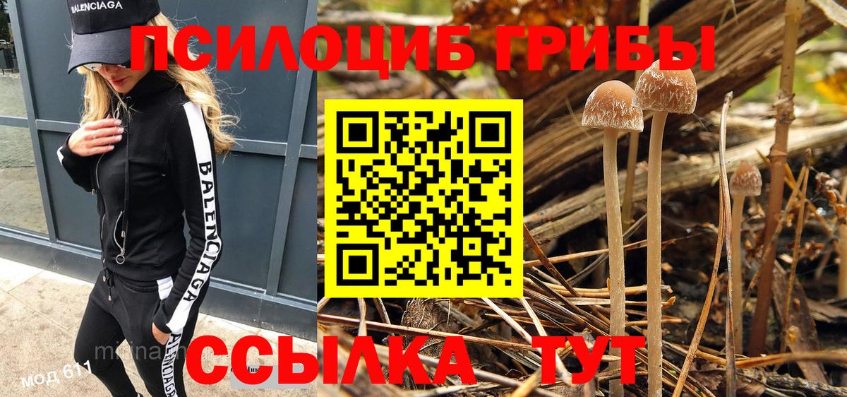 Сухой Лог  Псилоцибиновые грибы Cubensis  Вход с VPN 